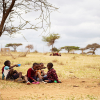Der er langt mellem de skyggefulde træer i det nordlige Kenya. Foto: Hans Bach.