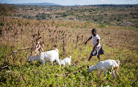 Gloria_kilifi_hansbach_oxfam-131_825x520px.jpg