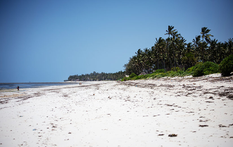 Kystlinje-brian_kilifi_hansbach_oxfam-104-825x520px.jpg